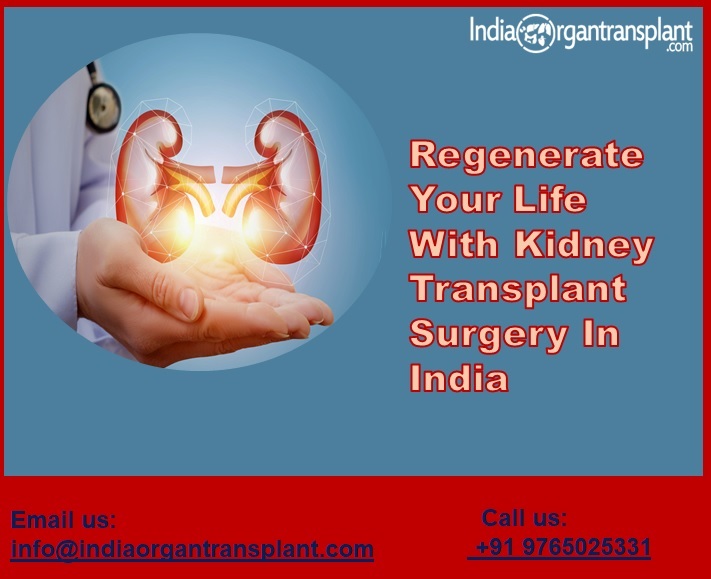 Kidney Transplant Surgery In India